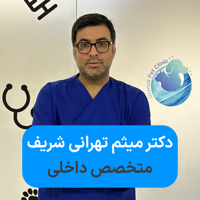 Dr Meysam Tehrani Sharif