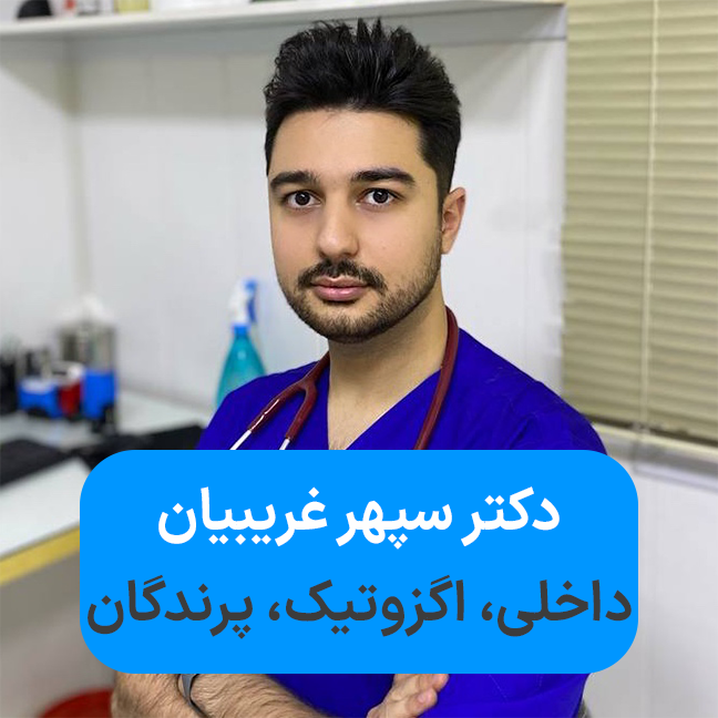Dr Sepehr Gharibian